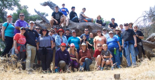 34973774115_987464cc46_o