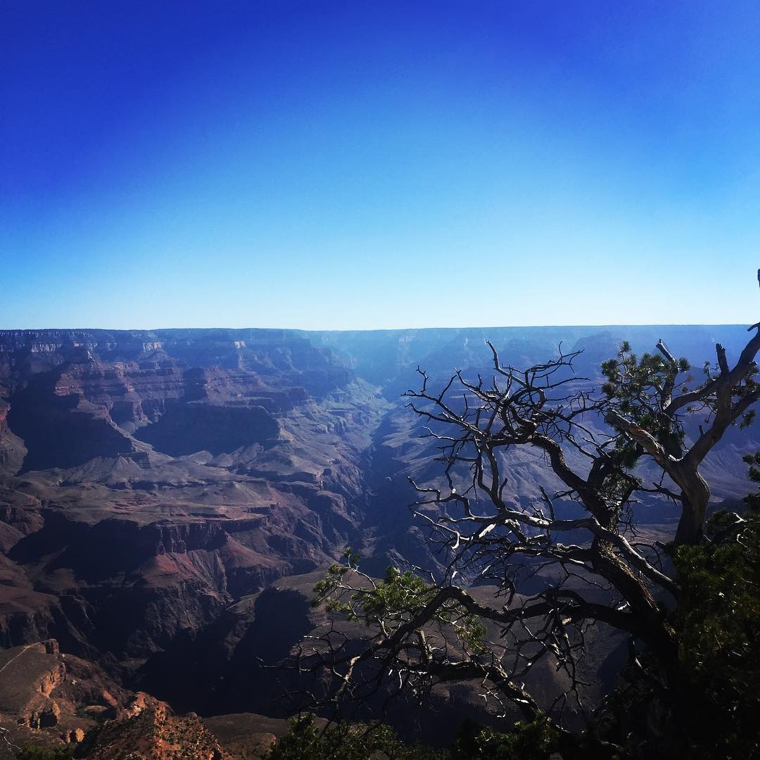 19625082_960791194061285_1186972924452536320_n