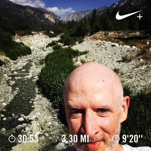 Running Forest Falls